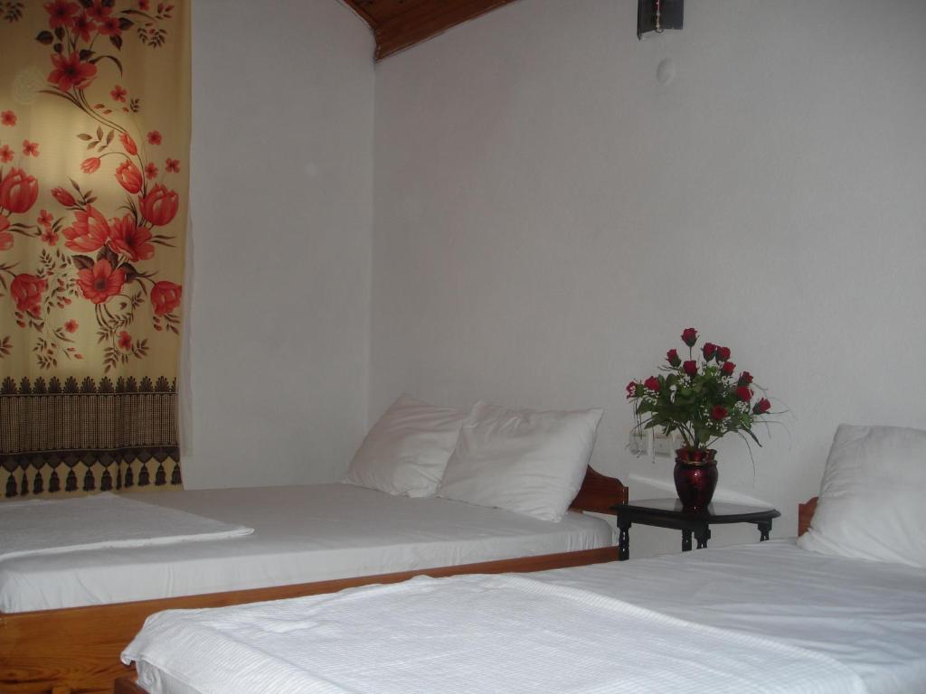 Engin Pension Cirali Room photo