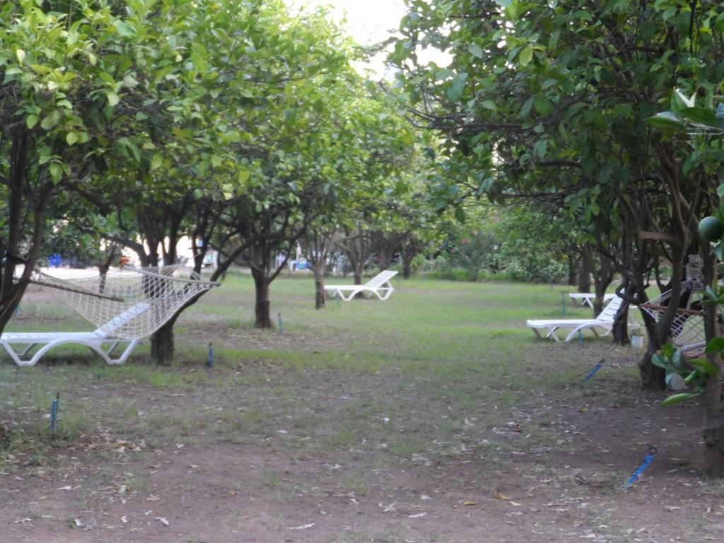 Engin Pension Cirali Exterior photo